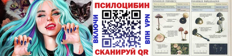 Галлюциногенные грибы мицелий  закладка  kraken ССЫЛКА  Коркино 