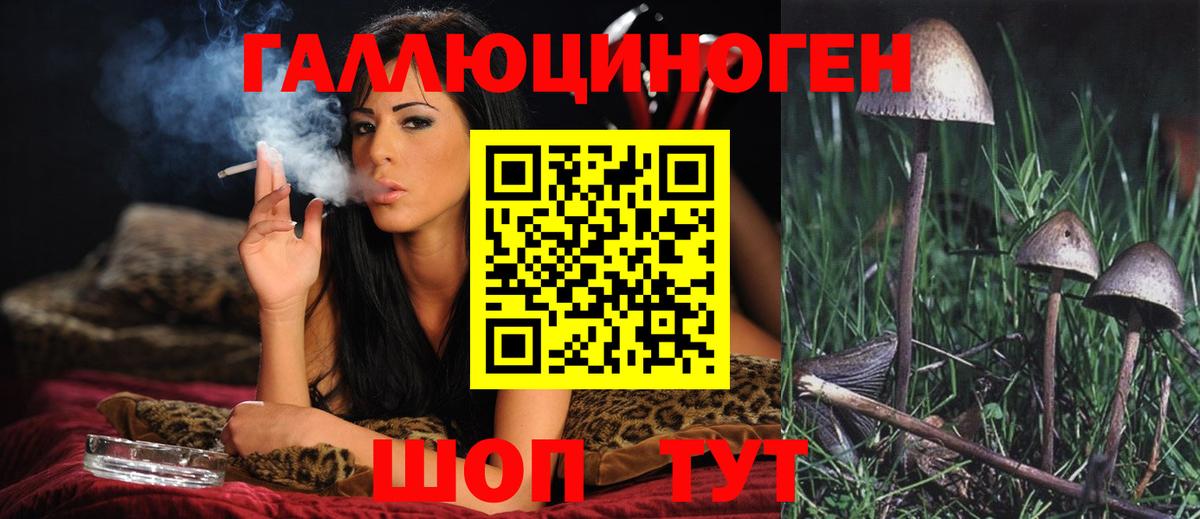 Галлюциногенные грибы мицелий Коркино